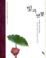 빛과 연꽃(명상의 바다에서 건져 올린 삶의 지혜 6)