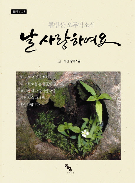 날 사랑하여요(체용불이 8)