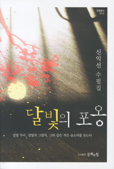 달빛의 포옹(문힘총서 13)