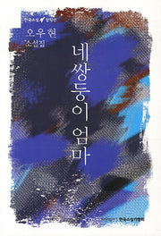 네쌍둥이 엄마(한국소설 창작선)
