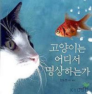 고양이는 어디서 명상하는가
