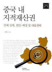 중국 내 지적재산권(아연동북아 총서 14)