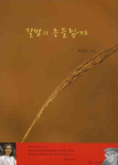 갈밭의 흔들림에도