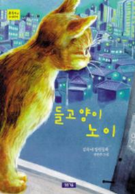 들고양이 노이