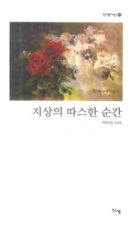 지상의 따스한 순간(신생시선 19)