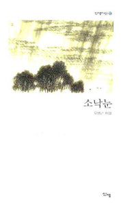 소낙눈(신생시선 21)