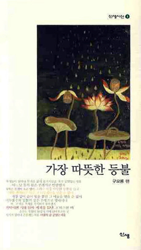 가장 따뜻한 등불(신생시선 4)