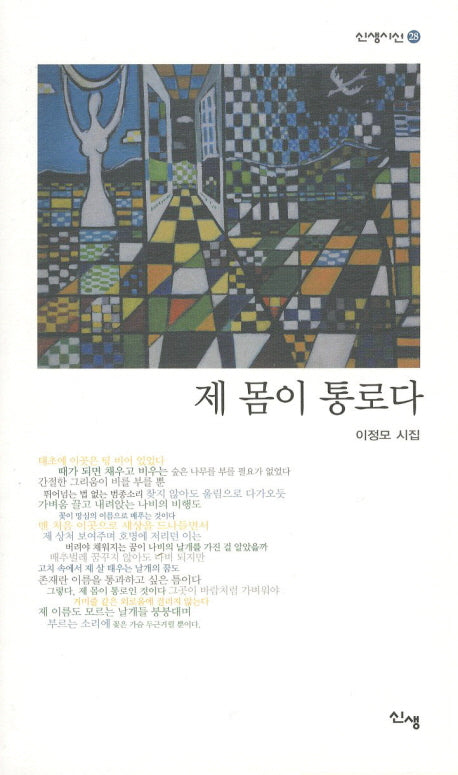 제 몸이 통로다(신생시선 28)