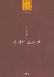 유리에 뜨는 달(신생시선 40)