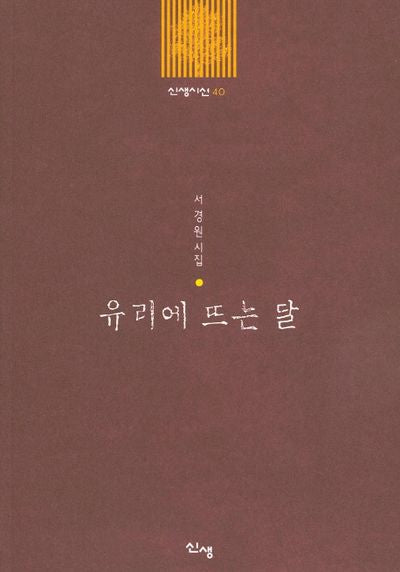 유리에 뜨는 달(신생시선 40)