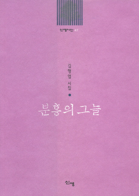 분홍의 그늘(신생시선 47)