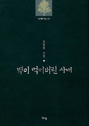 벽이 먹어버린 사내(신생시선 52)