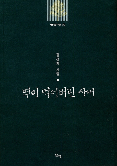 벽이 먹어버린 사내(신생시선 52)