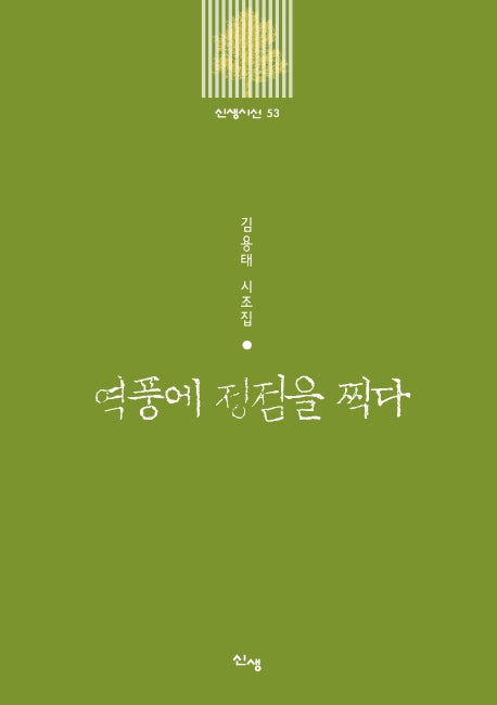 역풍에 정점을 찍다(신생시선 53)