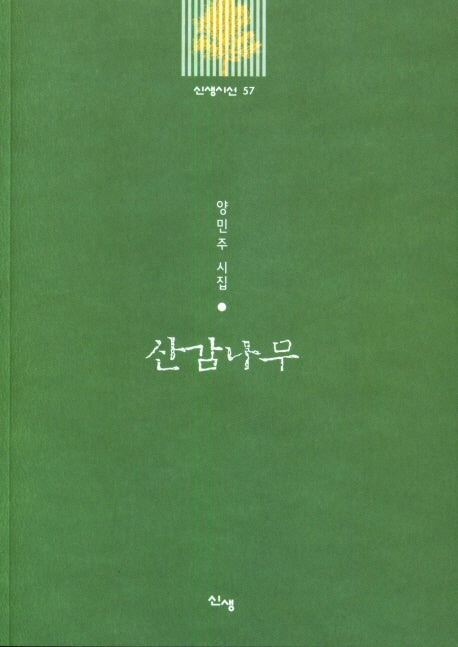 산감나무(신생시선 57)