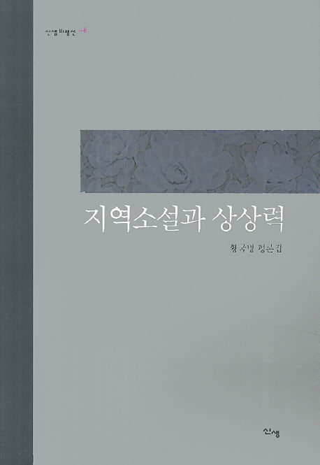 지역소설과 상상력(신생비평선 8)