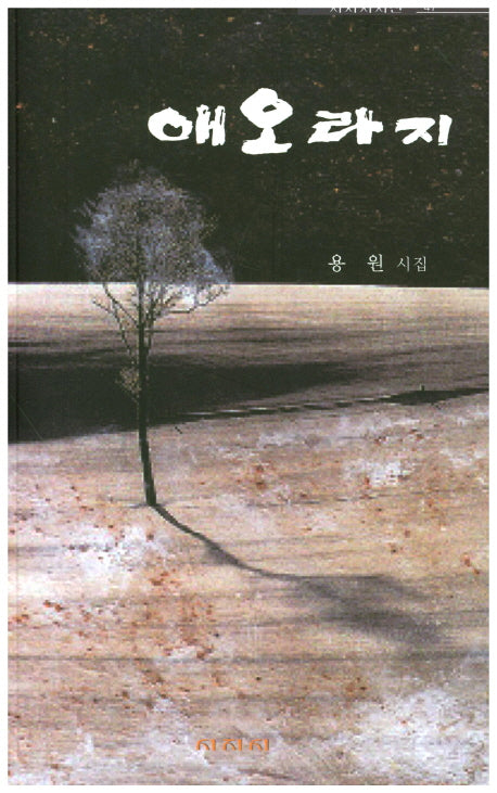 애오라기(시지시시선 47)