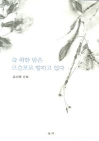 술 취한 밤은 모슬포로 향하고 있다