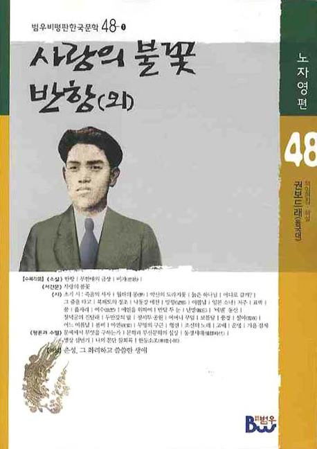 사랑의 불꽃 반항(외)(범우비평판 한국문학 48-1)
