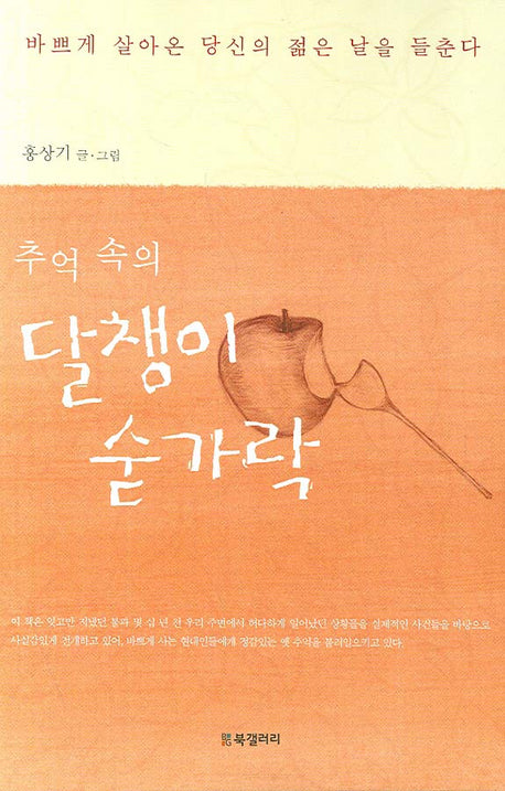 추억 속의 달챙이 숟가락(반양장)
