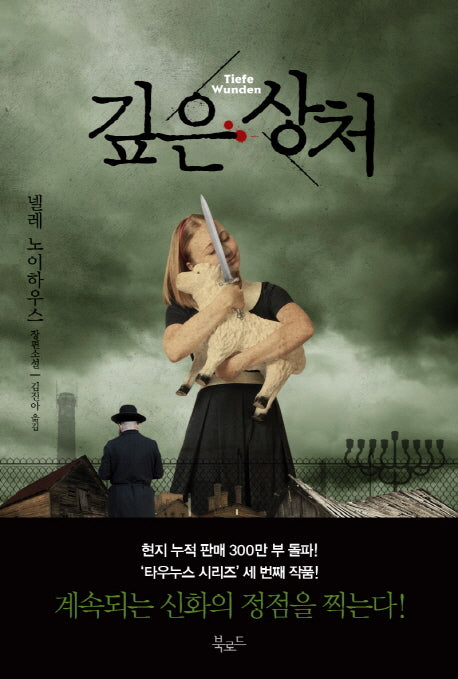 깊은 상처(타우누스 시리즈 3)