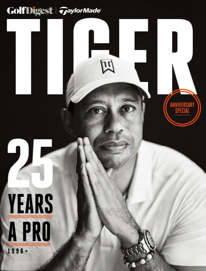 타이거(TIGER)