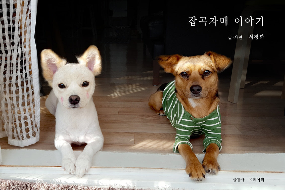 잡곡자매 이야기(양장본 Hardcover)