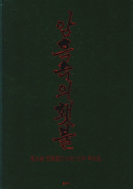암흑속의 횃불