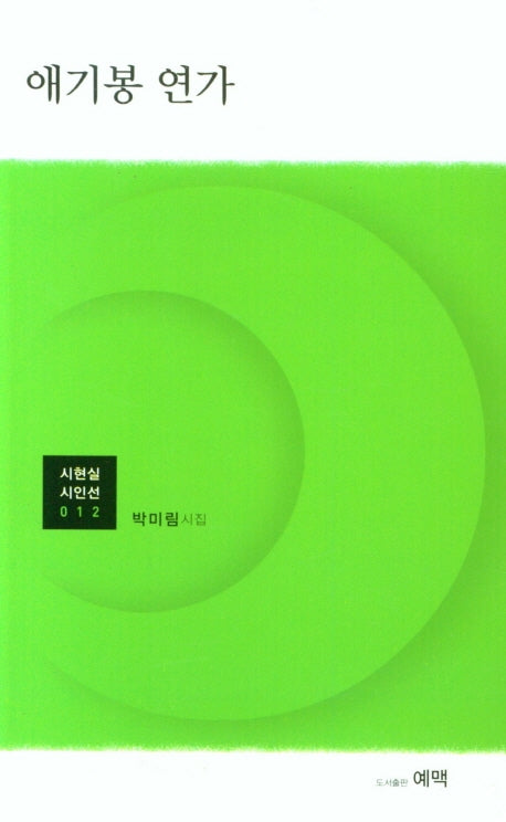 애기봉 연가(시현실시인선 12)