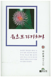 유츠프라카치아(양장본 Hardcover)
