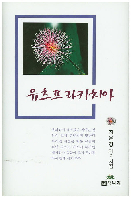 유츠프라카치아(양장본 Hardcover)