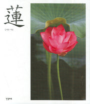 연