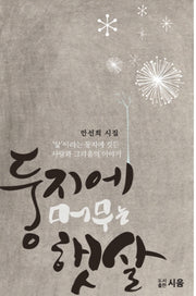 둥지에 머무는 햇살