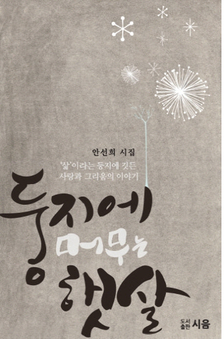 둥지에 머무는 햇살