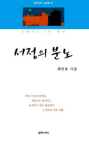 서정의 분노(문학시티 시선집 3)
