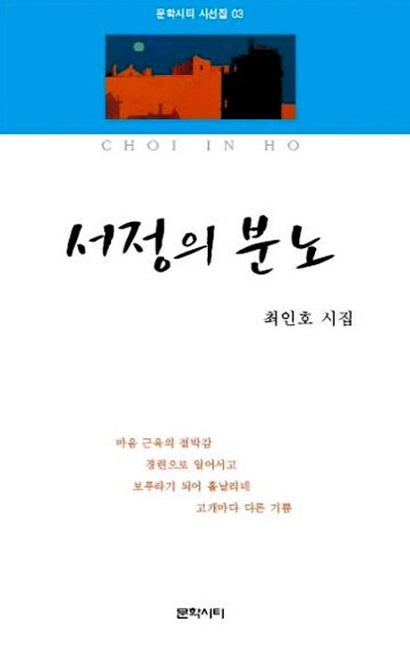 서정의 분노(문학시티 시선집 3)