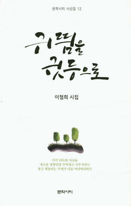 귀띔을 귓등으로(문학시티 시선집 12)