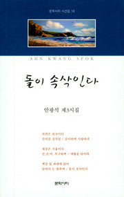 돌이 속삭인다(문학시티 시선집 18)