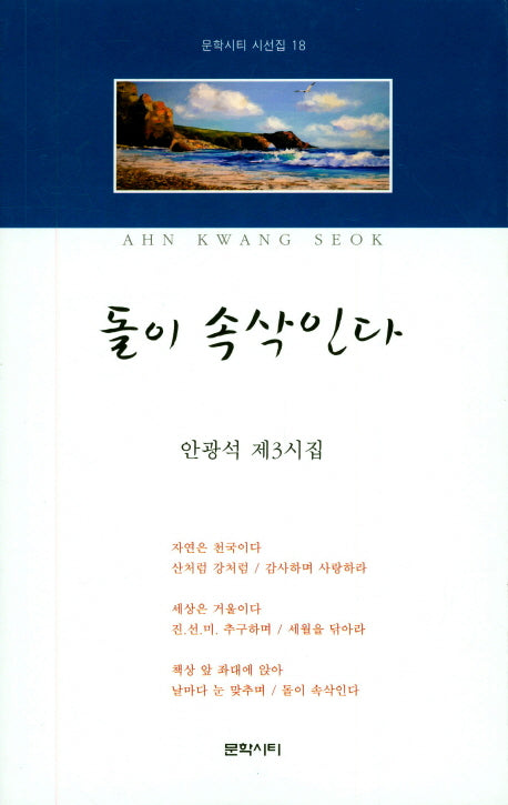 돌이 속삭인다(문학시티 시선집 18)