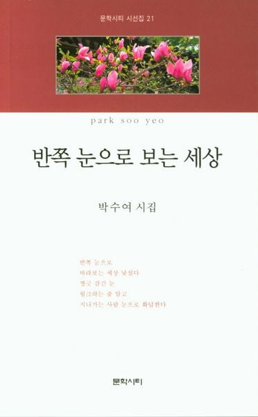반쪽 눈으로 보는 세상(문학시티 시선집 21)