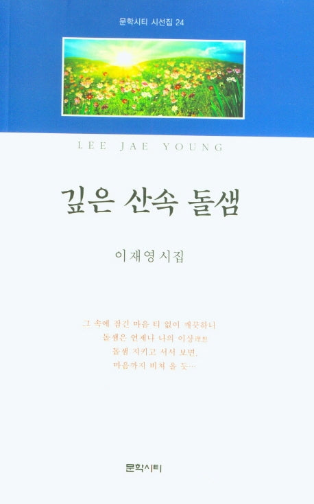 깊은 산속 돌샘(문학시티 시선집 24)
