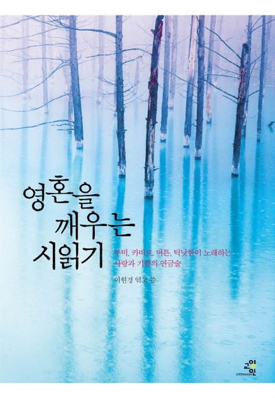 영혼을 깨우는 시읽기