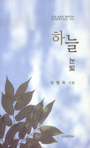하늘 눈빛(조선문학시인선 243)