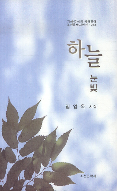 하늘 눈빛(조선문학시인선 243)