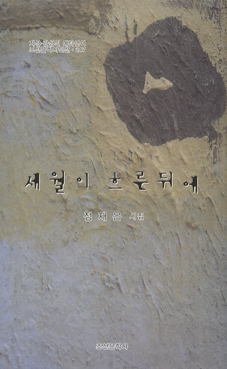 세월이 흐른뒤에(조선문학시인선 247)