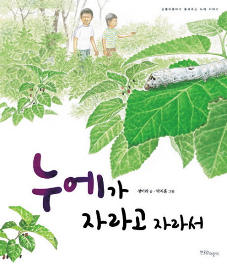 누에가 자라고 자라서