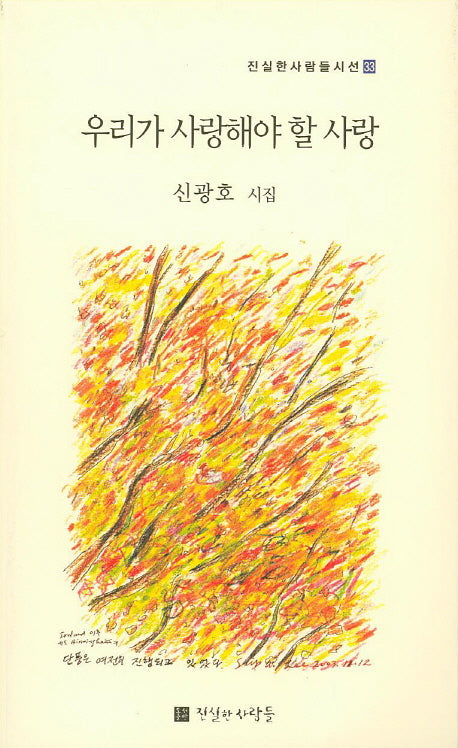 우리가 사랑해야 할 사랑(진실한사람들시선 33)