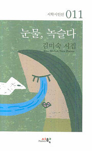 눈물 녹슬다(시학시인선 11)