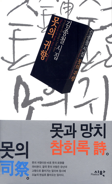 못의 귀향(양장본 Hardcover)
