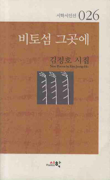 비토섬 그곳에(시학시인선 26)